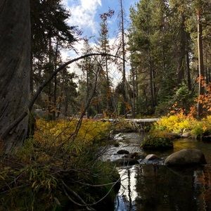 Meet your Posher, Audrey